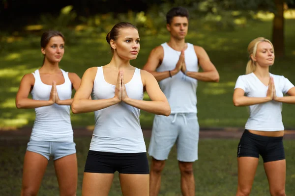 Yoga klas. Groep mensen mediteren op zomer Park — Stockfoto
