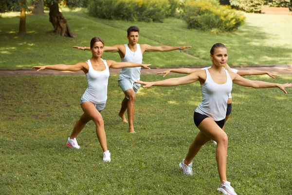 Clase de fitness. Retrato de personas sonrientes haciendo ejercicio físico ex — Foto de Stock