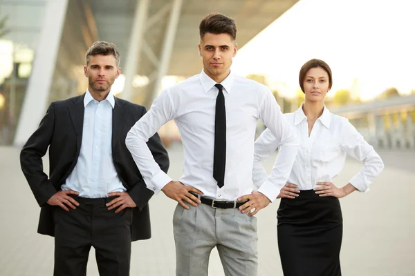 Group of business people. Business team. — Stock Photo, Image