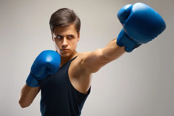 Junge Boxer kampfbereit — Stockfoto