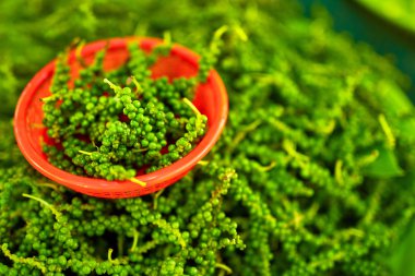 Vegetables. Green Peppercorns ( Black Pepper Plant ). Healthy Fo