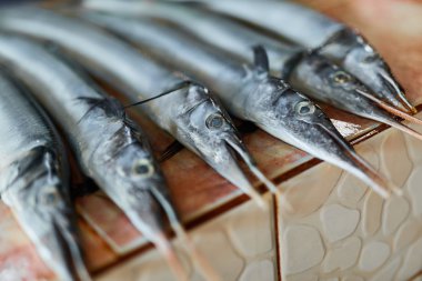 Fish, Seafood. Needlefish ( Houndfish, Tylosurus Crocodilus ) At