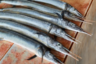 Fish, Seafood. Needlefish ( Houndfish, Tylosurus Crocodilus ) At