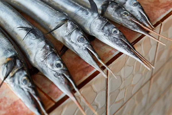 Fish, Seafood. Needlefish ( Houndfish, Tylosurus Crocodilus ) At — Stockfoto