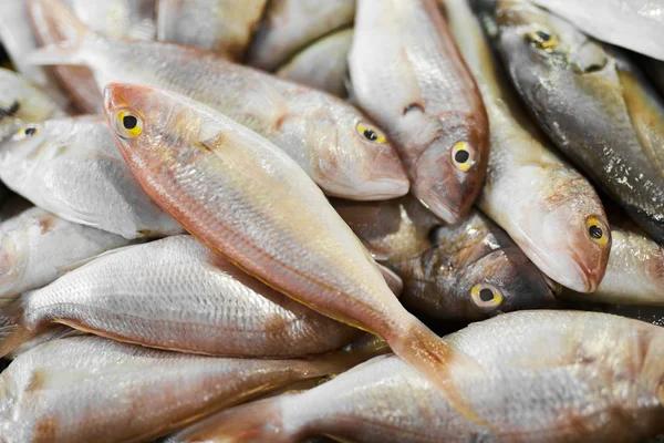 Comida cruda fresca. Fish at Market. Mariscos. Nutrición saludable . — Foto de Stock