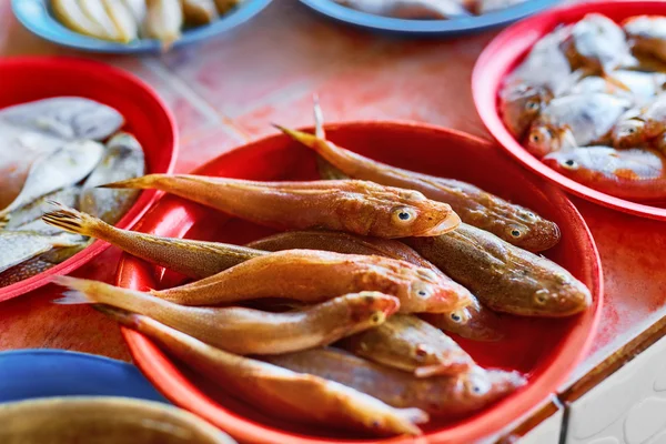 Schaal-en schelpdieren. Vismarkt In Thailand. Gezonde voeding. Levensmiddelen Backgr — Stockfoto
