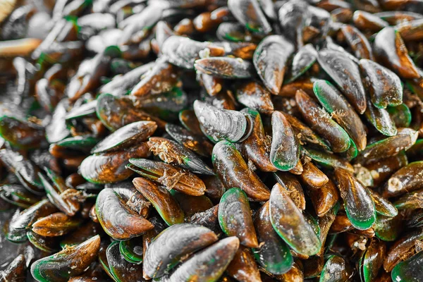 Comida saludable. Fondo de mariscos. Mejillones verdes asiáticos. Nutrición — Foto de Stock