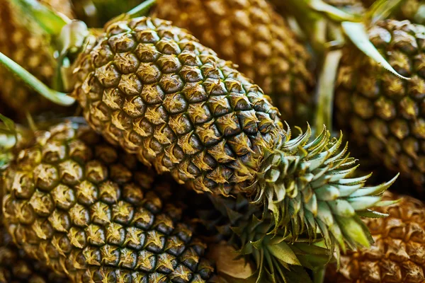 Gyümölcs háttér. Bio ananász a piacon. Táplálkozás. Egészség — Stock Fotó