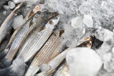 Balık. Kefal, buz deniz ürünleri. Sağlıklı yemek yeme. Beslenme