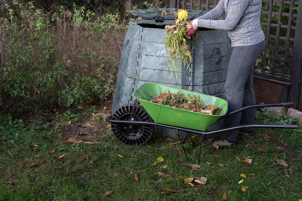 Woman throwing garden waste from wheelbarrow into compost bin. Zero waste, sustainability and environmental protection concept