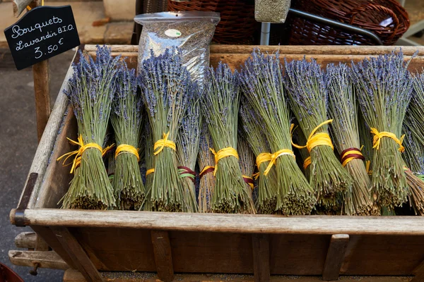 Dry lavender bouquets in Provence — Stock Photo, Image