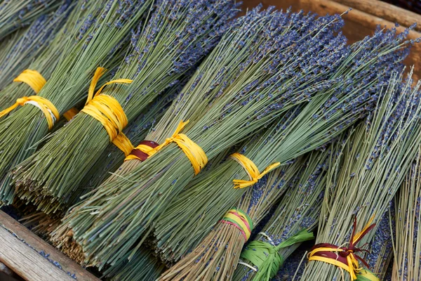 Ramos de lavanda seca en Provenza —  Fotos de Stock