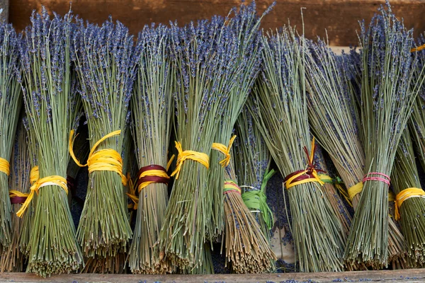 Ramos de lavanda seca en Provenza —  Fotos de Stock