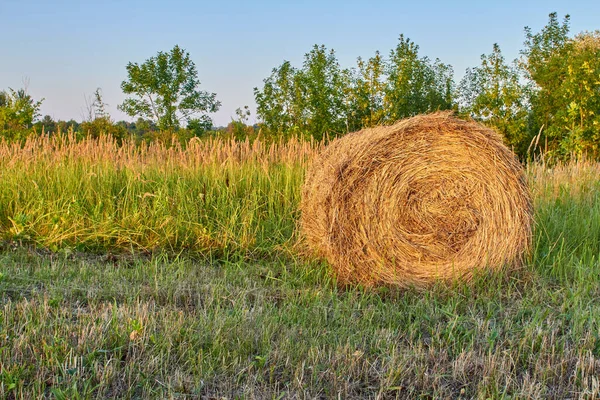 Balík sena na pozadí hřeby při západu slunce — Stock fotografie