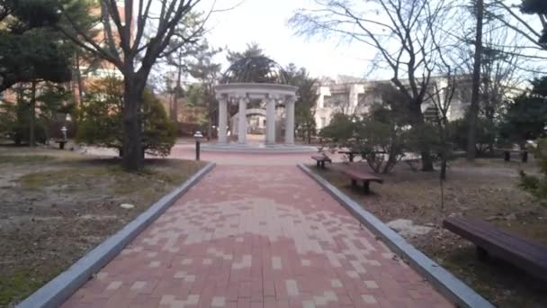 Caminhe Caminho Concreto Pavimentado Feito Tijolos Vista Panorâmica Com Caminhada — Vídeo de Stock