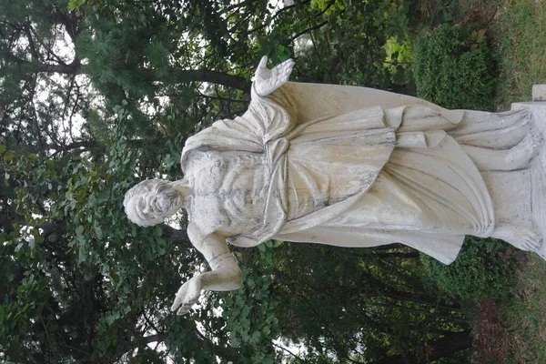 Chuncheon South Korea October 2020 Ancient Marble Portrait Man Beard — Stock Photo, Image