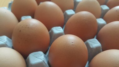 Yumurta kutusunda taze çiftlik tavuğu yumurtası ya da yumurta tutacağı ya da satılık kağıt tepsi.