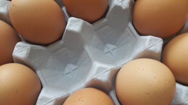 Yumurta kutusunda ya da yumurta tutacağında ya da kağıt tepside taze çiftlik tavuğu yumurtası satışı için boş yer var.