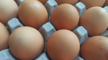 Yumurta kutusunda taze çiftlik tavuğu yumurtası ya da yumurta tutacağı ya da satılık kağıt tepsi.