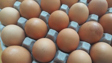 Yumurta kutusunda taze çiftlik tavuğu yumurtası ya da yumurta tutacağı ya da satılık kağıt tepsi.