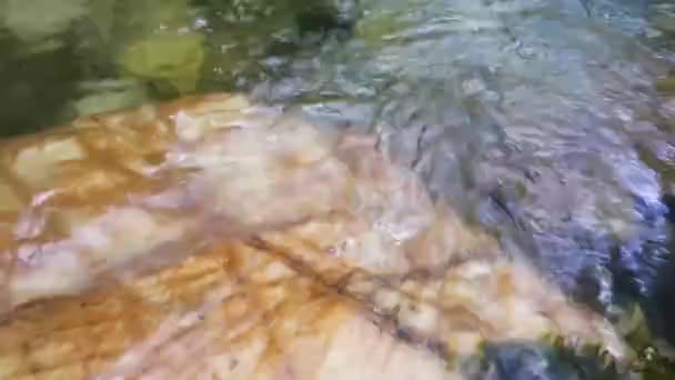 Zavřít Pohled Proud Vody Proudící Vodopádu Proudící Mezi Kameny — Stock video