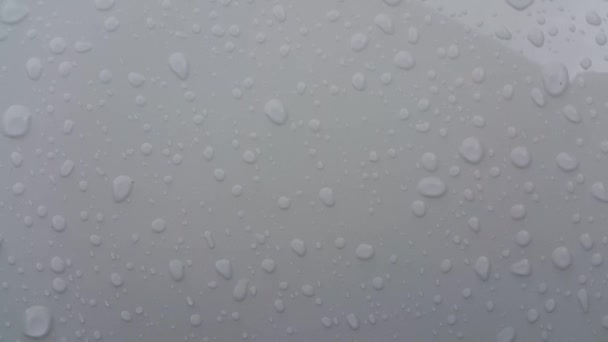 Vista Vicino Delle Gocce Pioggia Uno Sfondo Colore Bianco Con — Video Stock