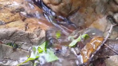 Sudan akan akarsuyun yakın görüntüsü taşların arasından dökülür ve akar.