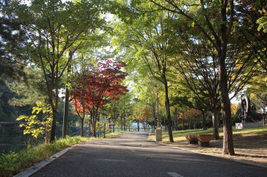 Yaya geçidi ya da halk yürüyüşü için yan taraflarında ağaçlarla yürümek. Kenar mahalle parkı, kaldırımlar, yan taraftaki ağaçlar.