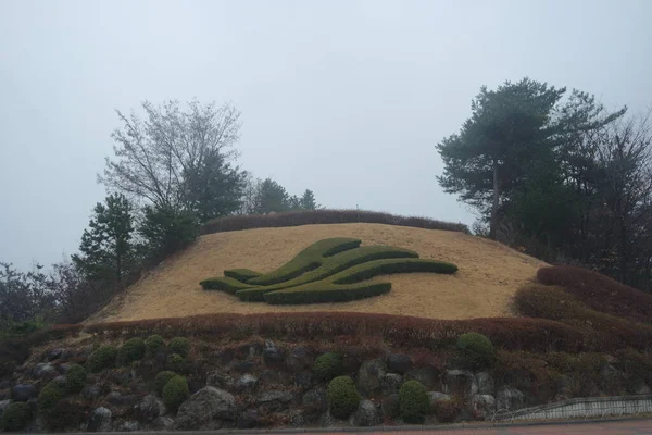 公園内の小さな泥だらけの山の上に美しい草を切る姿 — ストック写真