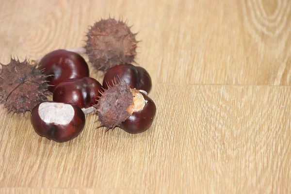 Kastanien Und Kastanienschote Mit Dornen Auf Einem Holzboden Nahaufnahme Eines — Stockfoto