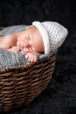 Bir sepet içinde güzel yeni doğan