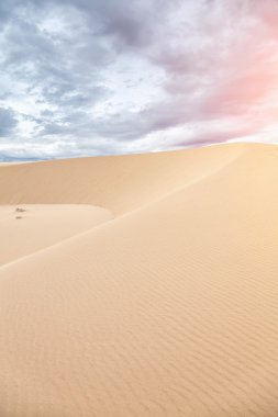 Beyaz kumulları MUI ne, vietnam