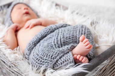 Bir sepet içinde güzel yeni doğan