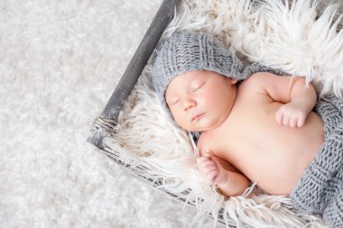 Bir sepet içinde güzel yeni doğan