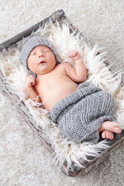 Bir sepet içinde güzel yeni doğan