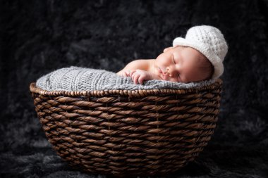 Bir sepet içinde güzel yeni doğan