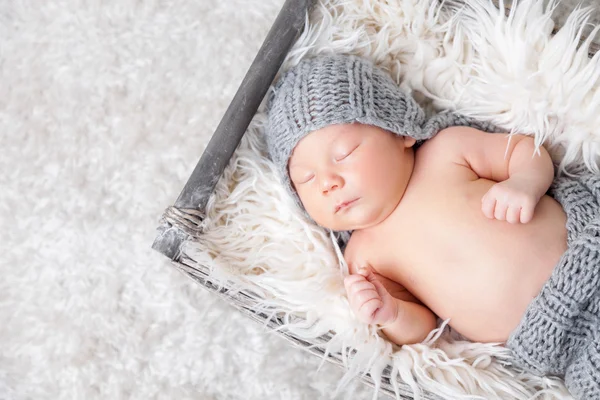 Bir sepet içinde güzel yeni doğan