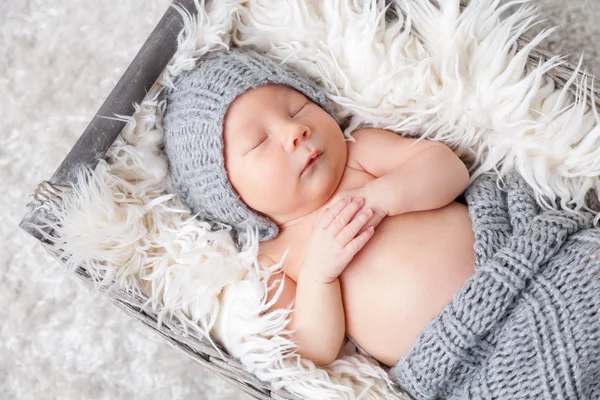 Bir sepet içinde güzel yeni doğan