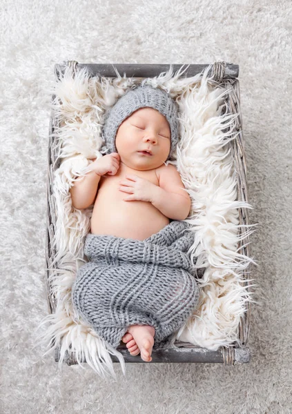 Bir sepet içinde güzel yeni doğan