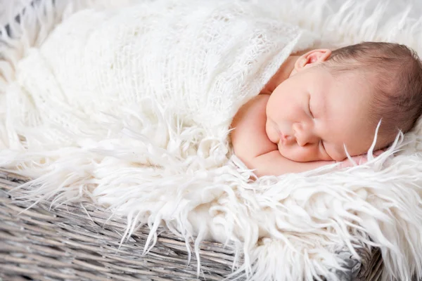 Hermoso recién nacido dentro de una cesta — Foto de Stock