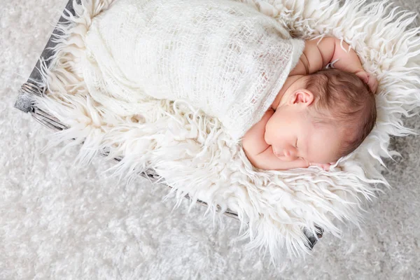 Bir sepet içinde güzel yeni doğan