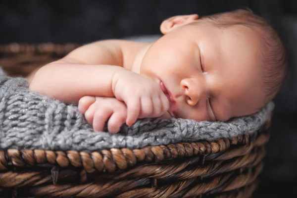 Bir sepet içinde güzel yeni doğan
