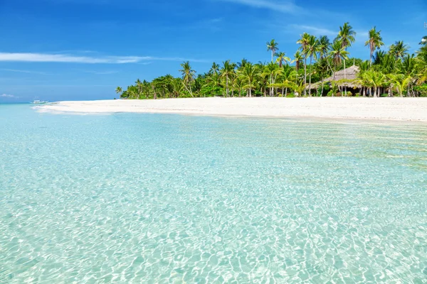 Traumhafter türkisfarbener Strand mit Palmen und weißem Sand — Stockfoto