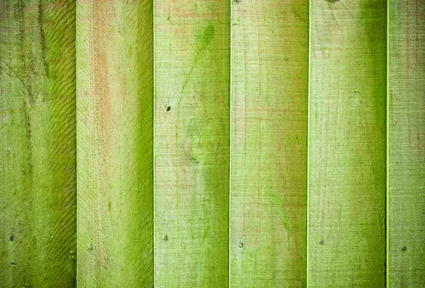 Mossy wooden background texture — Stock Photo, Image