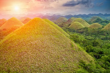 Güzel Çikolata Hills Bohol, Filipinler