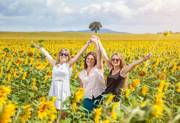 Drie jonge vrienden in een zonnebloem veld — Stockfoto