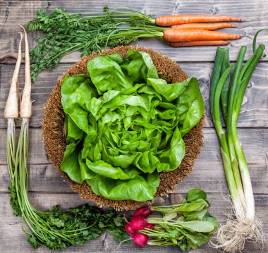 Taze organik biyo sebze ahşap arka plan üzerinde