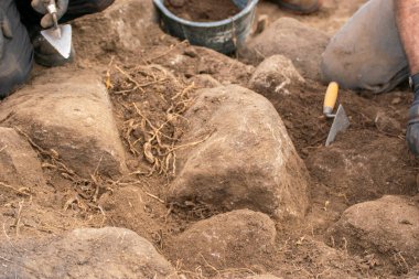 Tarihi bir araştırmanın takım çalışması ve hassasiyeti 
