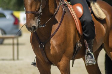 Ata binme ekipmanı ve giysi ayrıntıları