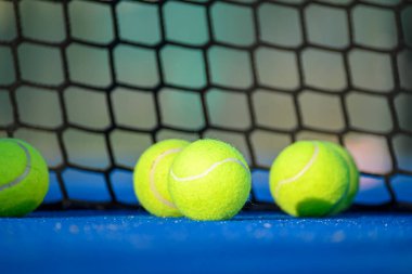 Mahkeme Kalemi ve Sarı Spor Malzemelerinin Ayrıntıları.